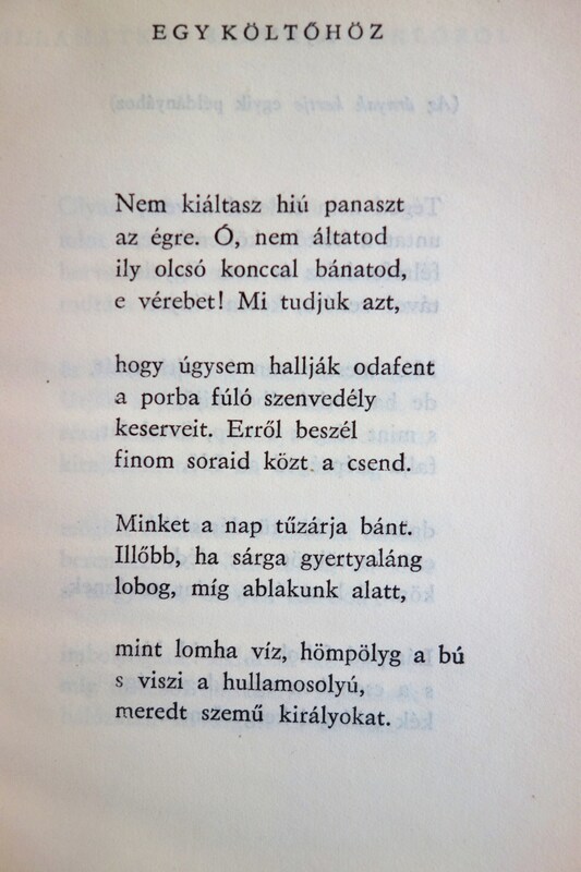 KÁLNOKY László: Az árnyak kertje