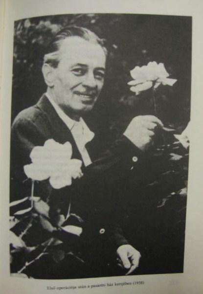 SZÜLE Mihály, Sárossy: Miszter Jávor.