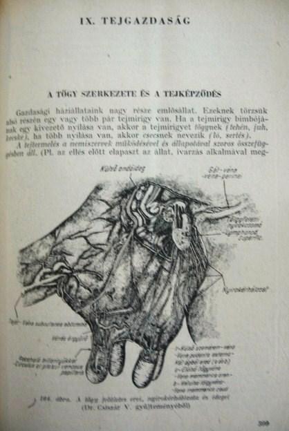 KECSKÉS-MENTLER-NÉMETH (szerk): Állattenyésztők kézikönyve.