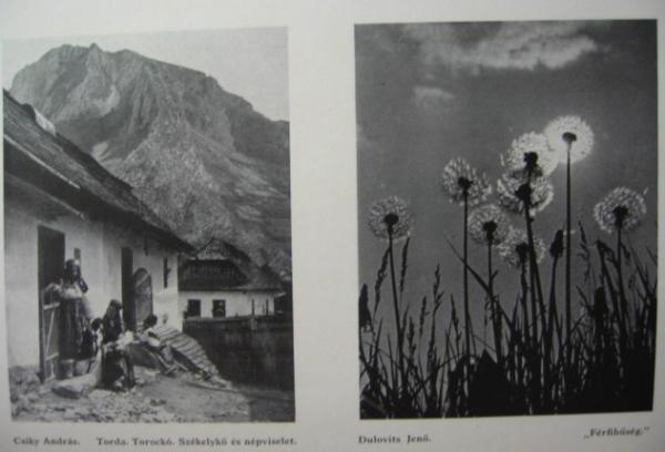 FOTOMŰVÉSZETI HÍREK. XII. évfolyam. 1931. 1-12. szám.