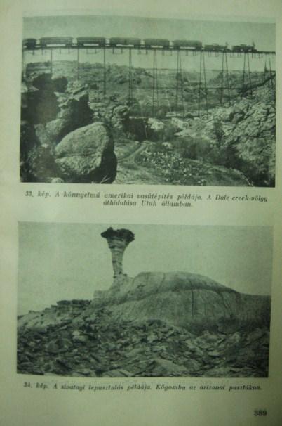 CHOLNOKY Jenő,dr: Utazásaim, élményeim, kalandjaim.