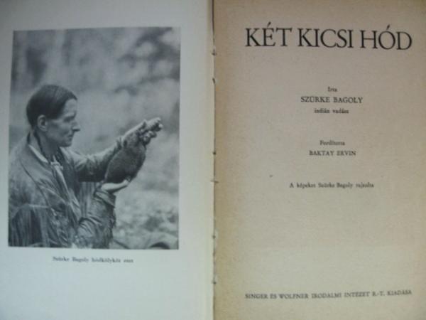 Szürke Bagoly (Grey Owl): Két kicsi hód.