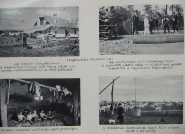 DALA József - ERDÉLYI Tibor: Matyóföld.