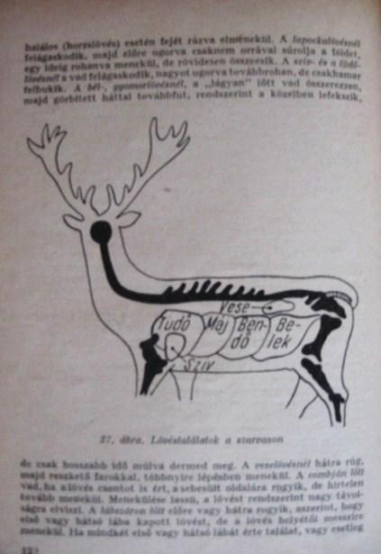BENCZE Lajos: Vadgazdaságtan.