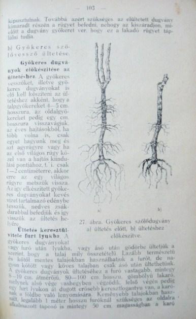 VARGHA Imre: A gyakorlati szőlőmívelés kézikönyve.